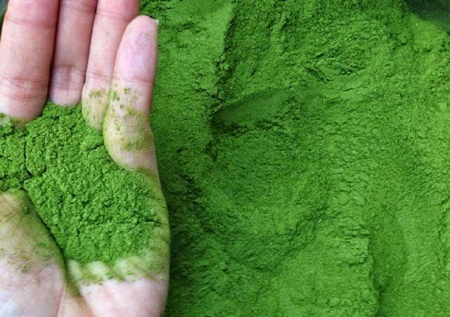 Nơi bán bột trà xanh matcha Japan nguyên chất